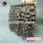 Extensões curly do weave do cabelo humano de 16 polegadas - dobro desenhadas