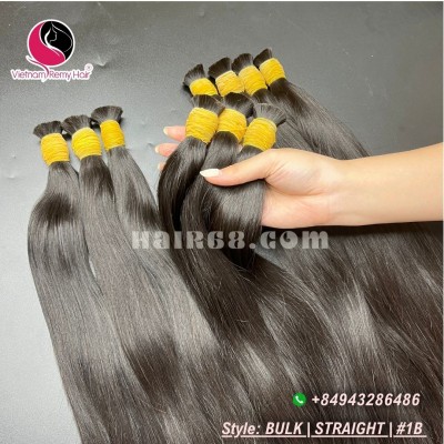 10 inch Vietnam Virgin Hair Extensions - Straight Single