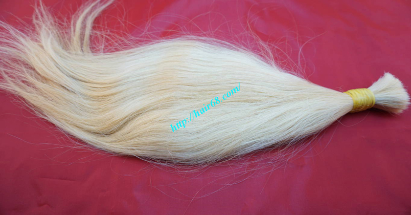 22 inch blonde hair straight single drawn 3