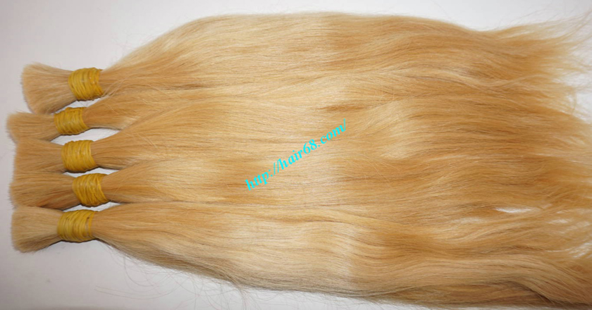 24 inch blonde hair straight single drawn 1