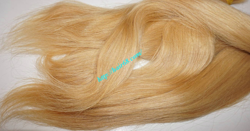 26 inch blonde hair straight single drawn 2