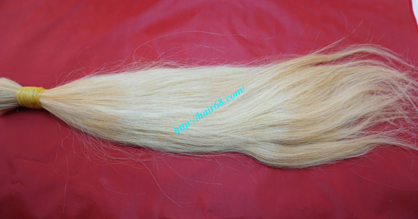 26 inch blonde hair straight single drawn 5